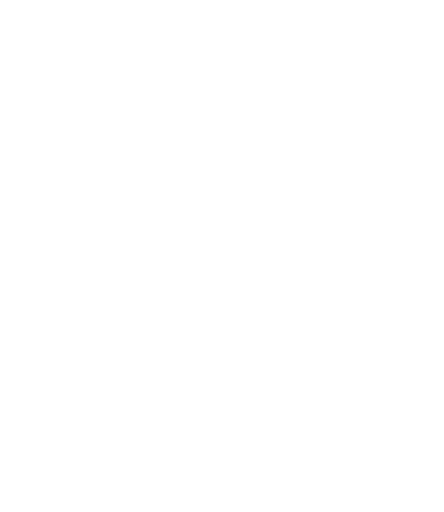 nginx icon
