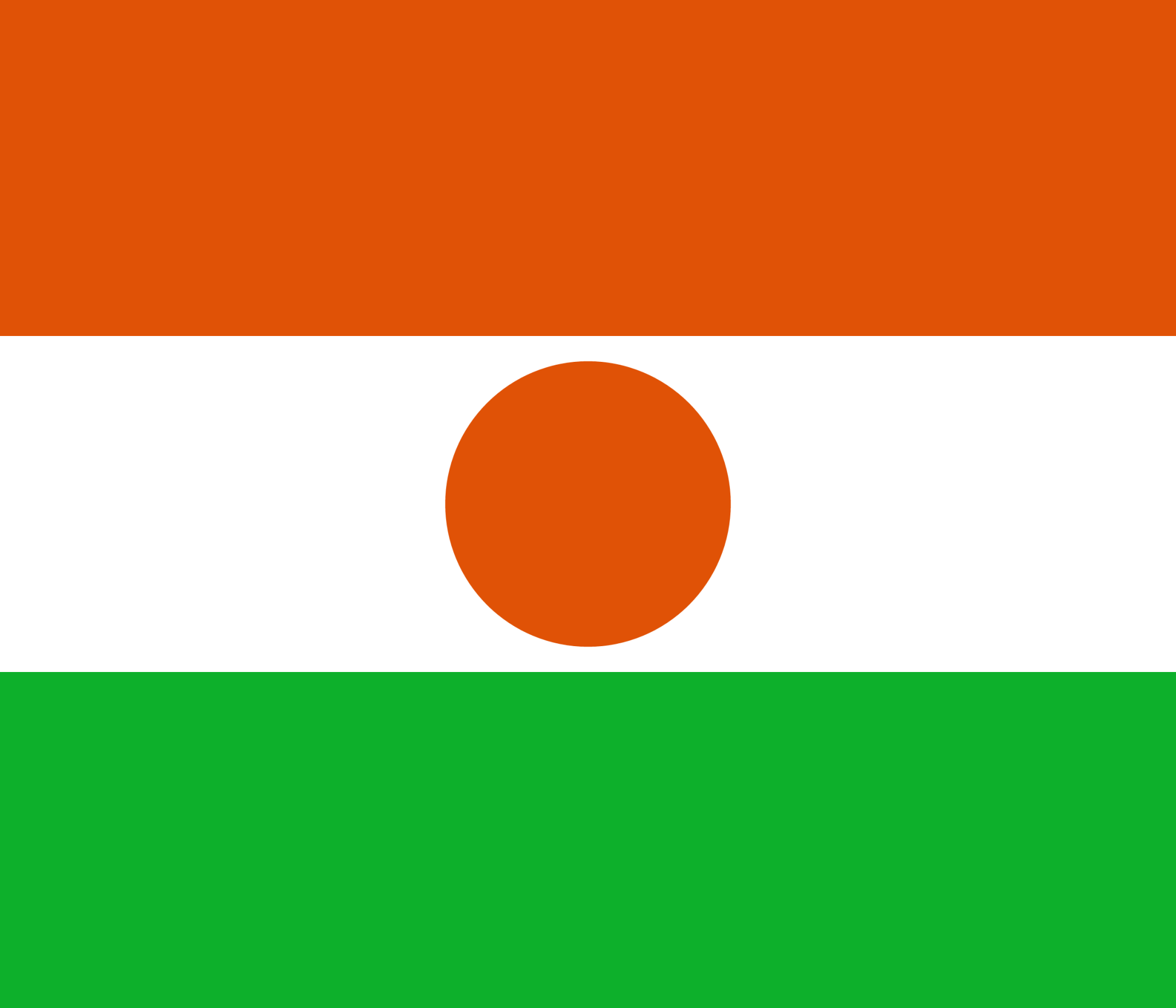 Niger icon