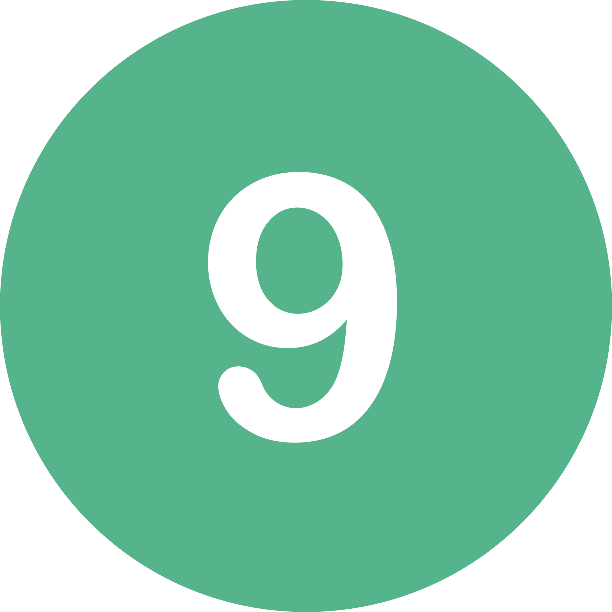 nine icon
