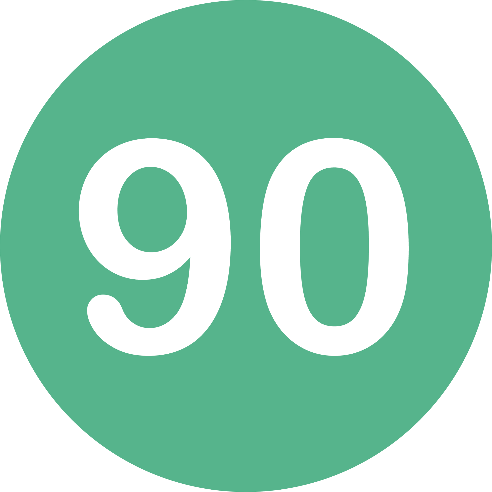 ninety icon