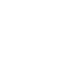 NoLimitCoin Cryptocurrency icon