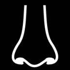 nose front icon