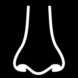 nose front icon