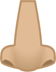 nose: medium-light skin tone emoji