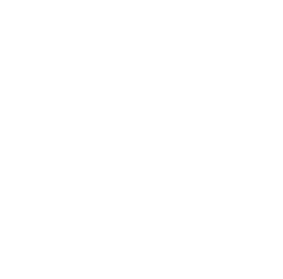 novell icon