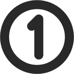 number 1 circle icon