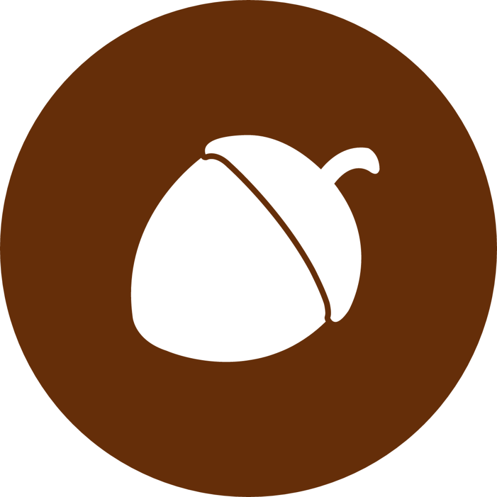 Nutstore icon