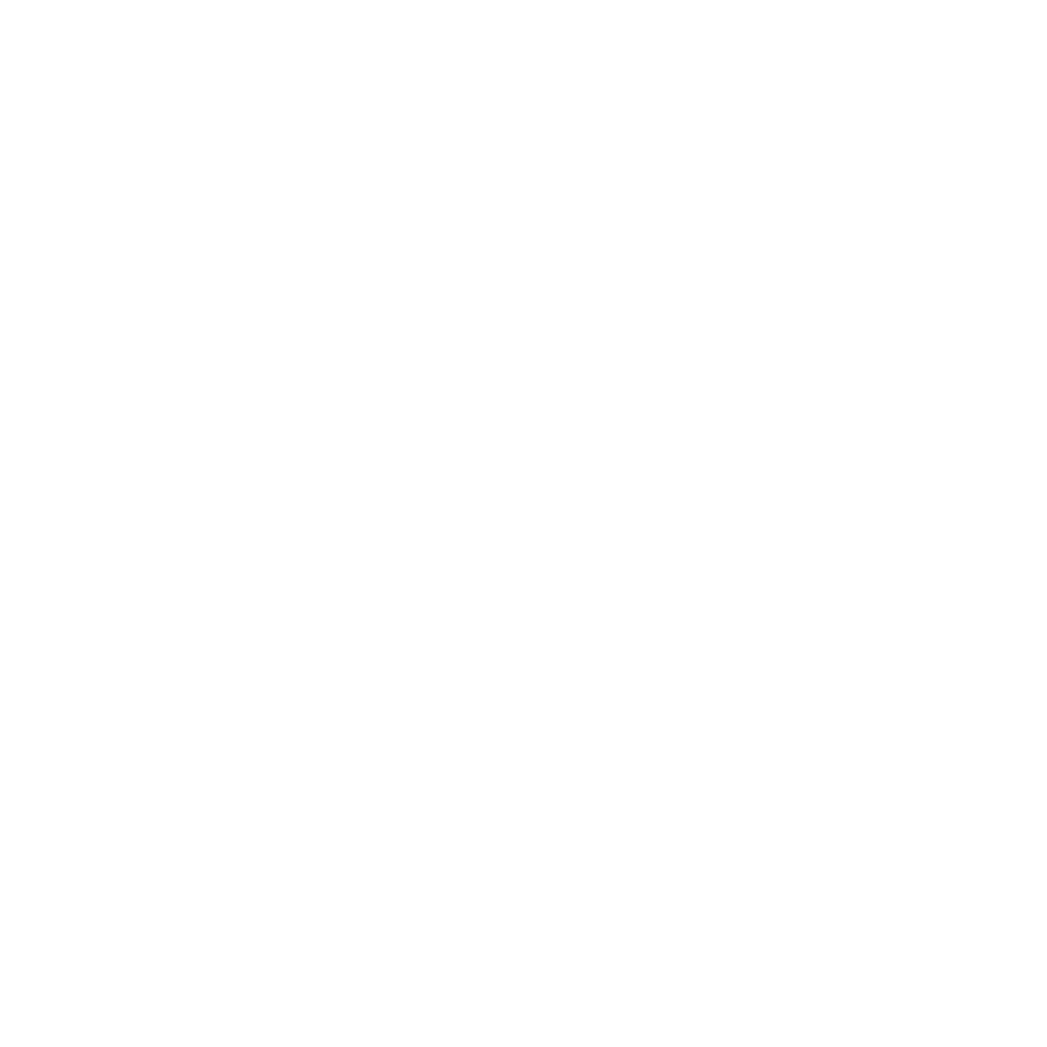 NXT Cryptocurrency icon