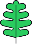 oak leaf icon