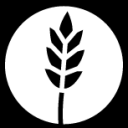 oat icon