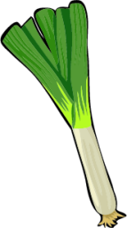 onion 02 icon