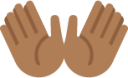 open hands sign tone 4 emoji