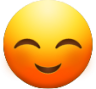 Optimistic Blushing Face emoji