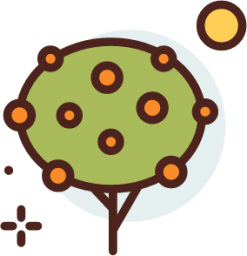 orange tree icon