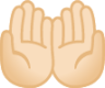 palms up together: light skin tone emoji