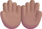 palms up together medium emoji