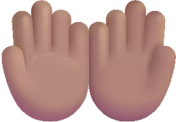 palms up together medium emoji
