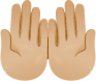 Palms up together skin 2 emoji emoji