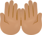Palms up together skin 3 emoji emoji