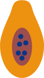 papaya fruit icon