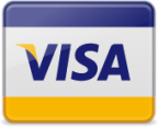 payment card visa icon