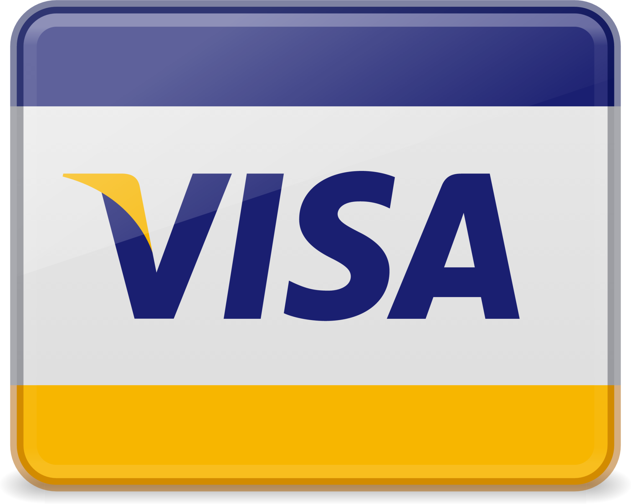 payment card visa icon