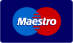 payment maestro icon