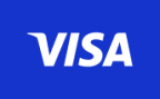 payment visa icon