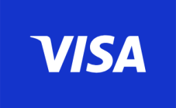 payment visa icon
