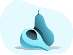 Pear illustration