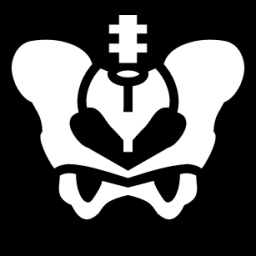 pelvis bone icon