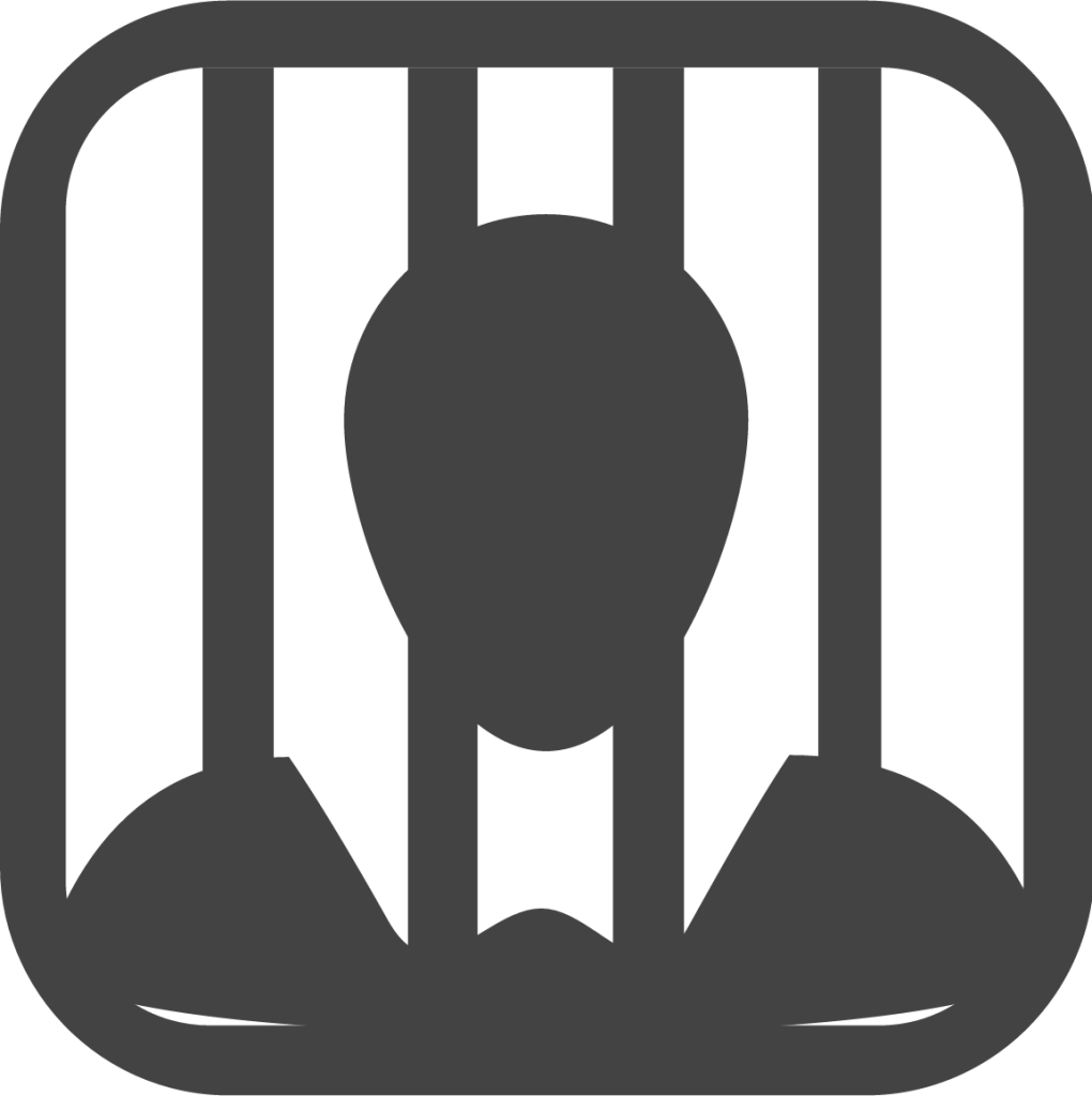 person prison icon