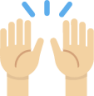 person raising both hands in celebration tone 2 emoji
