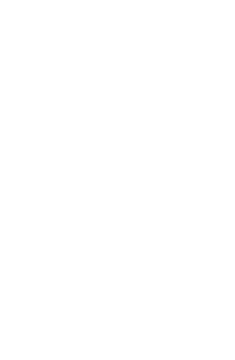 phone portrait icon