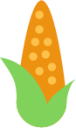 piece of corn icon