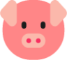 pig face emoji