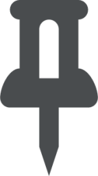 pin hollow icon