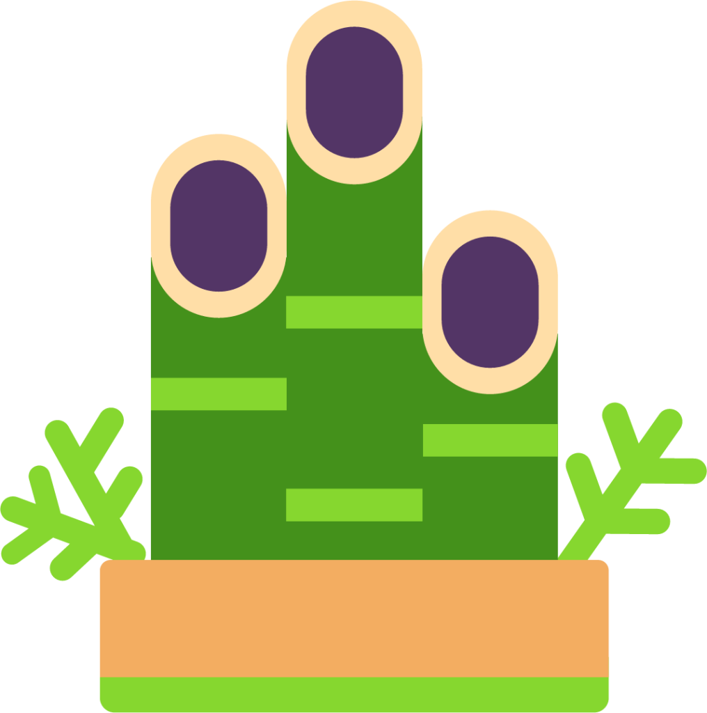 pine decoration emoji