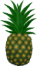pineapple 01 icon