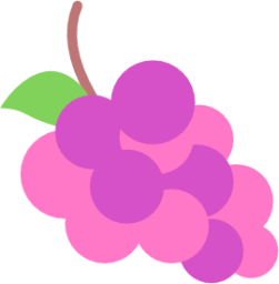 pink berries wine grapes icon