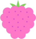 pink berry icon
