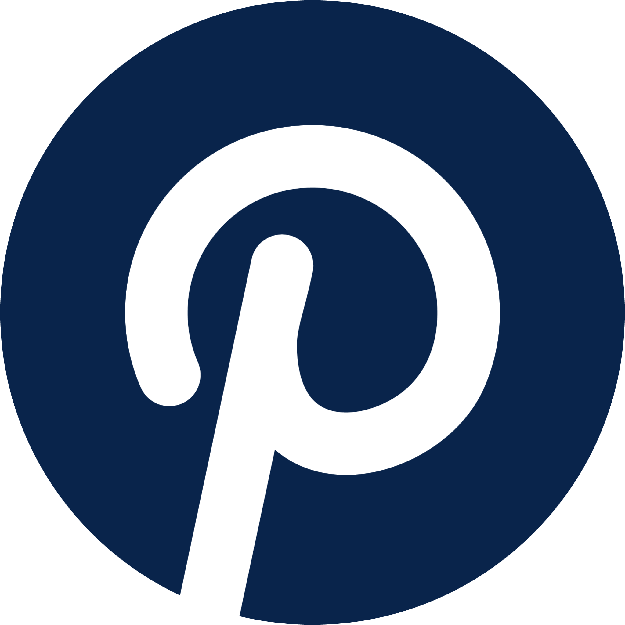 pinterest fill logo icon