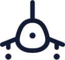 plane icon