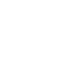 plane transportation icon