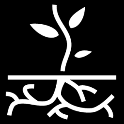 plant roots icon