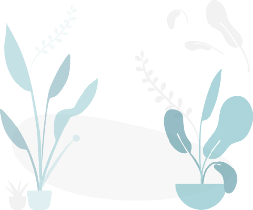 Plants home illustration