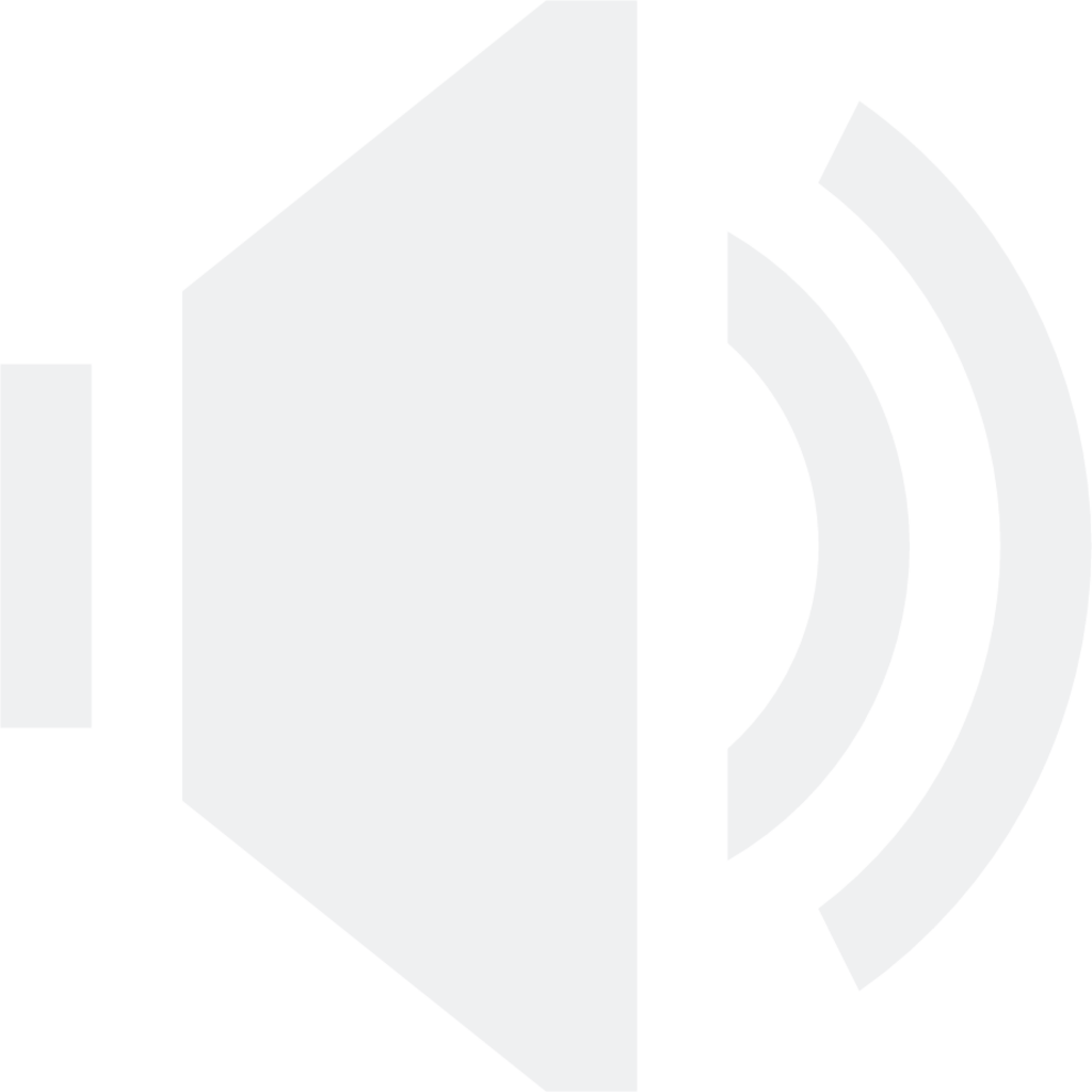 player volume icon