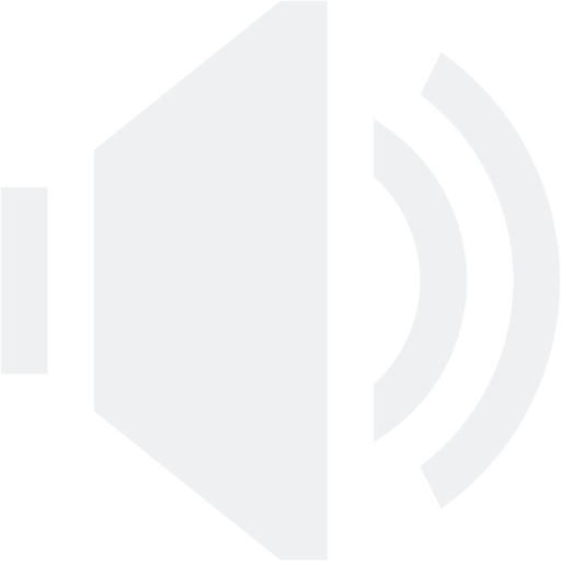 player volume icon