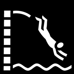 pool dive icon