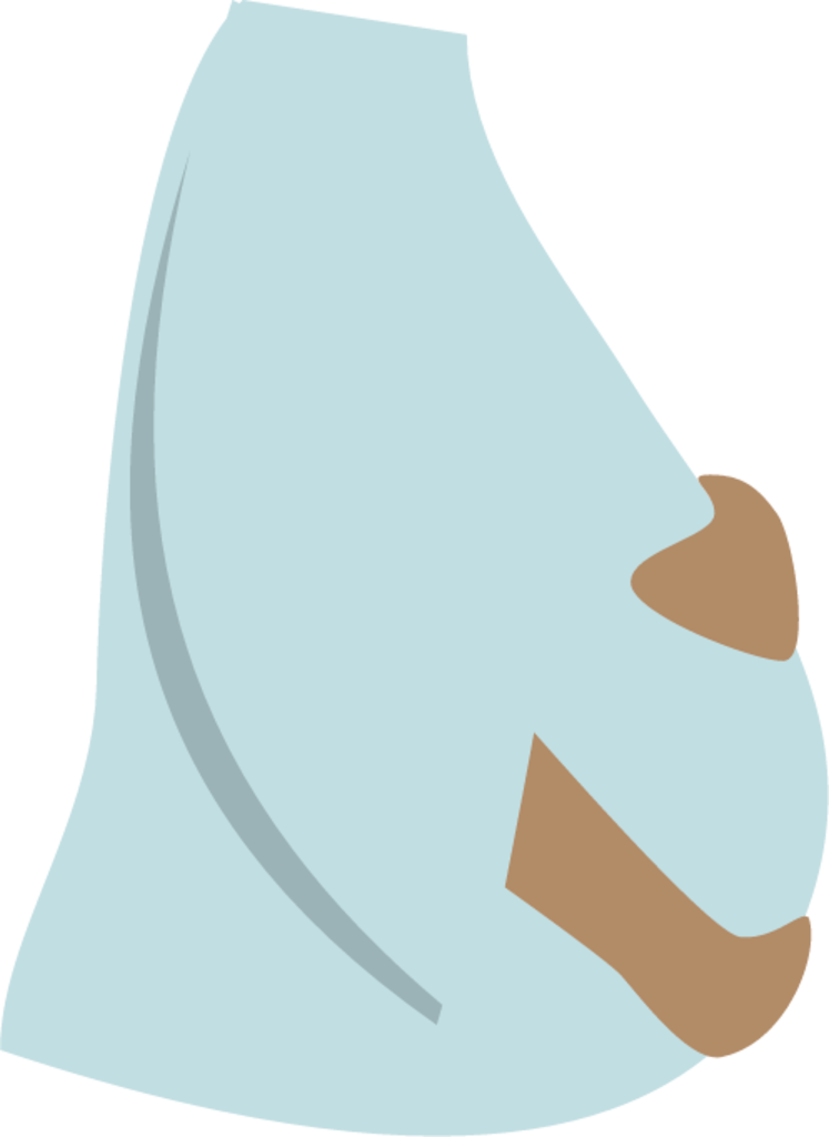 Pregnant woman baby birth illustration